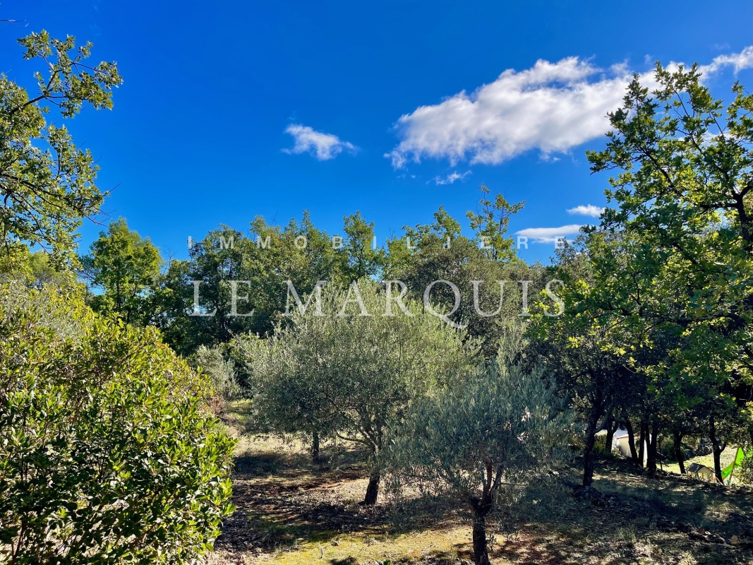 Le parc typiquement méditerranéen est composé de différentes essences d'arbres : oliviers, figuiers, amandier, ...