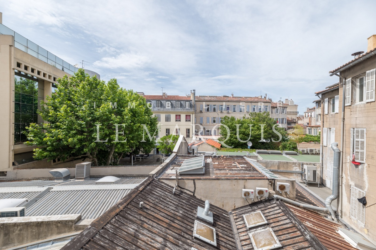 Vue dégagée depuis l'appartement