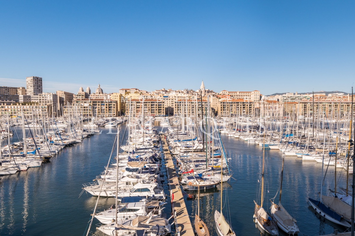 En première ligne sur le Vieux-Port