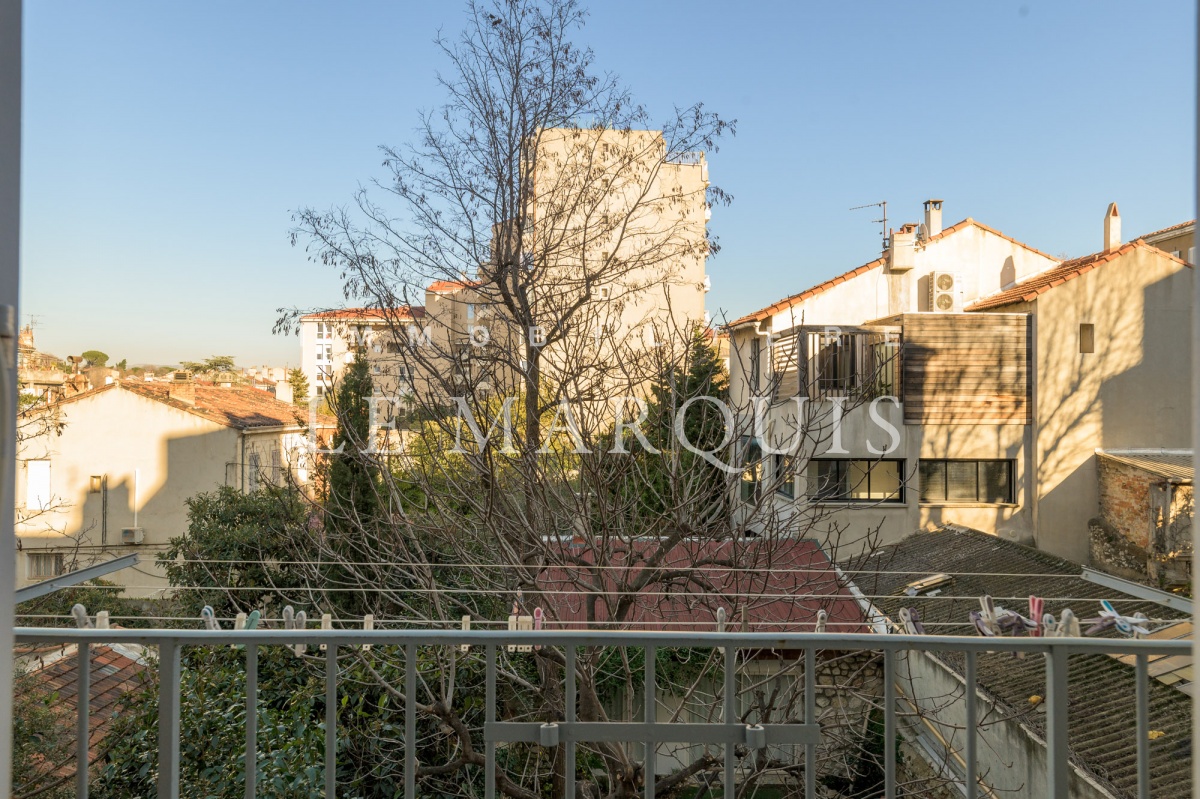 Vue dégagée depuis le balcon