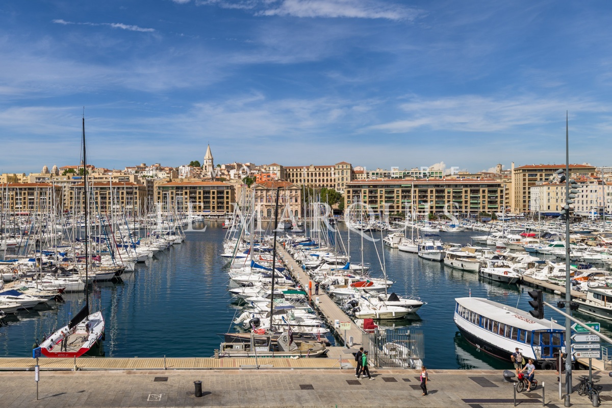 Vue splendide sur le Vieux-Port
