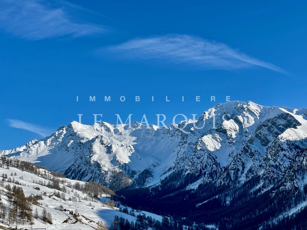 Vue dominante majestueuse sur les sommets