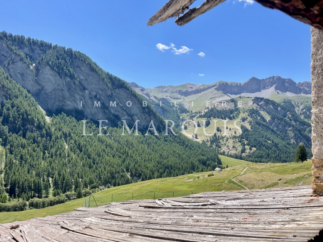 Vue époustouflante d'une des terrasses