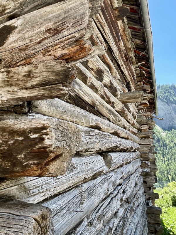 Fuste du XVIIIème siècle qui incarne l’âme et l’élégance du patrimoine Haut-Alpin intemporel