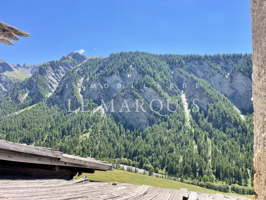 Vue dominante majestueuse sur les sommets