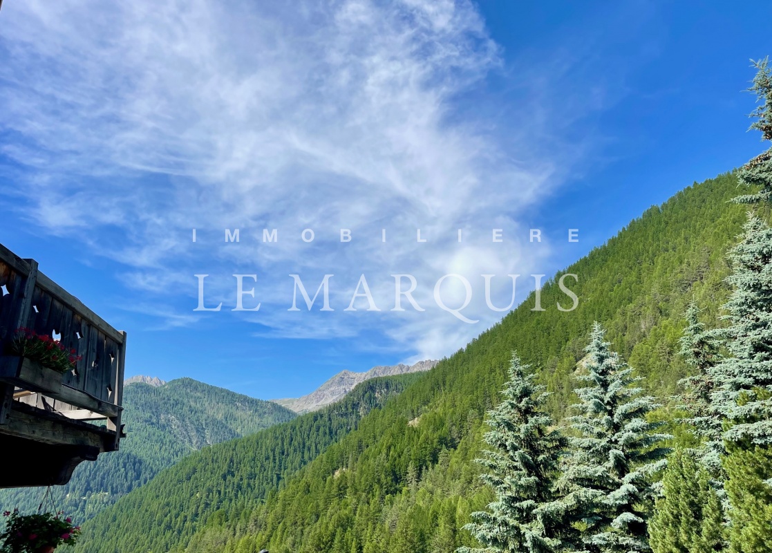 Magnifique vue panoramique du chalet