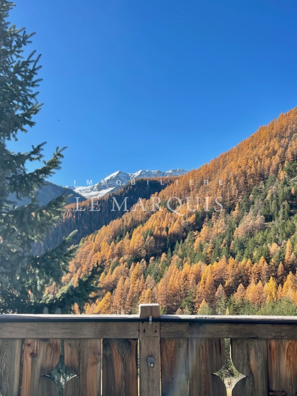Magnifique vue en toutes saisons de l'espace de vie et de la terrasse plein Sud