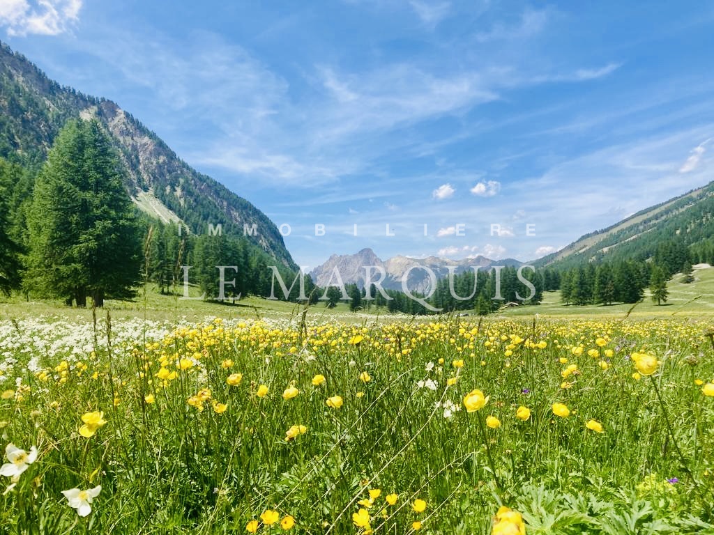 Vous pourrez vivre la montagne vraie et profitez de ses nombreuses activités de pleine nature été comme hiver